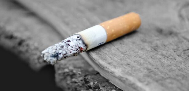 lindustrie tabac gros pollueurs monde - SocialMag